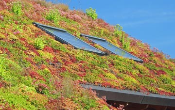 Bubblewell living roof systems